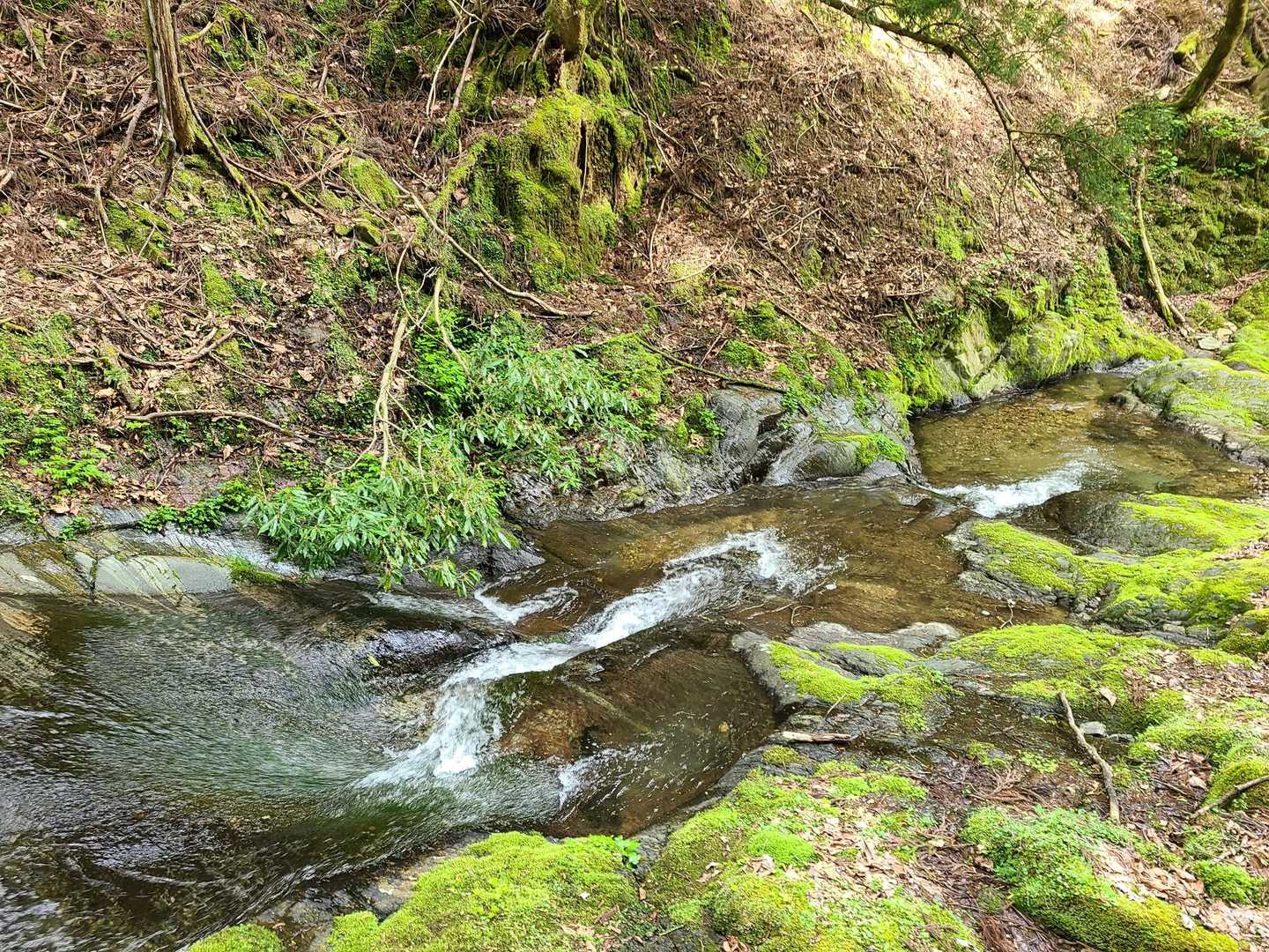しばらくこの川沿いを歩きます～😃✌️