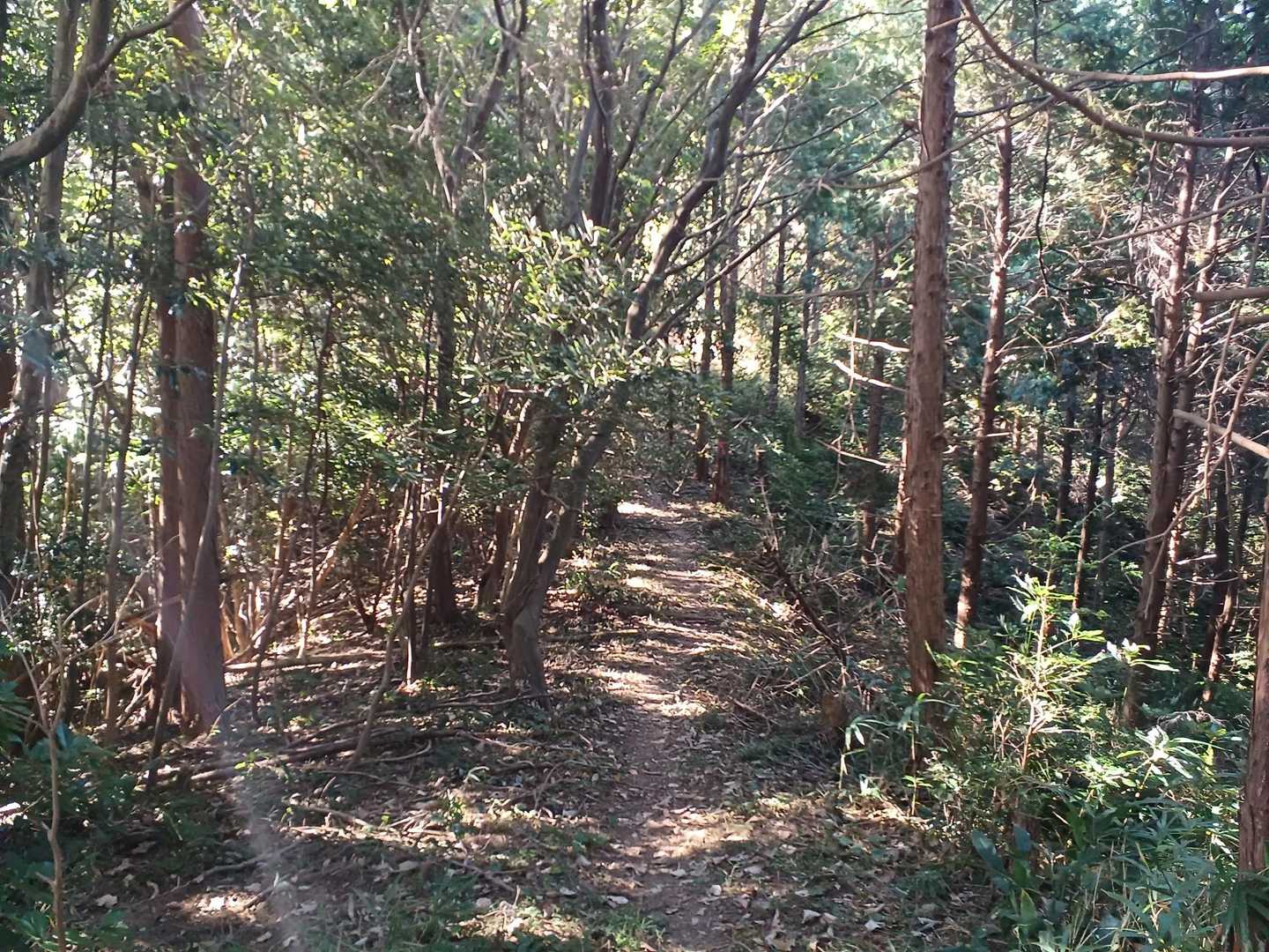 整備された道