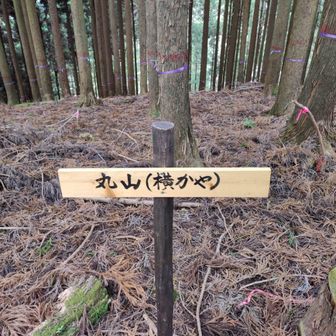 丸山の頂上だそうです。