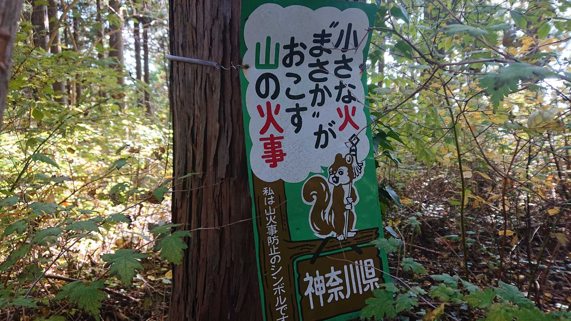 まといリス神奈川Ver.