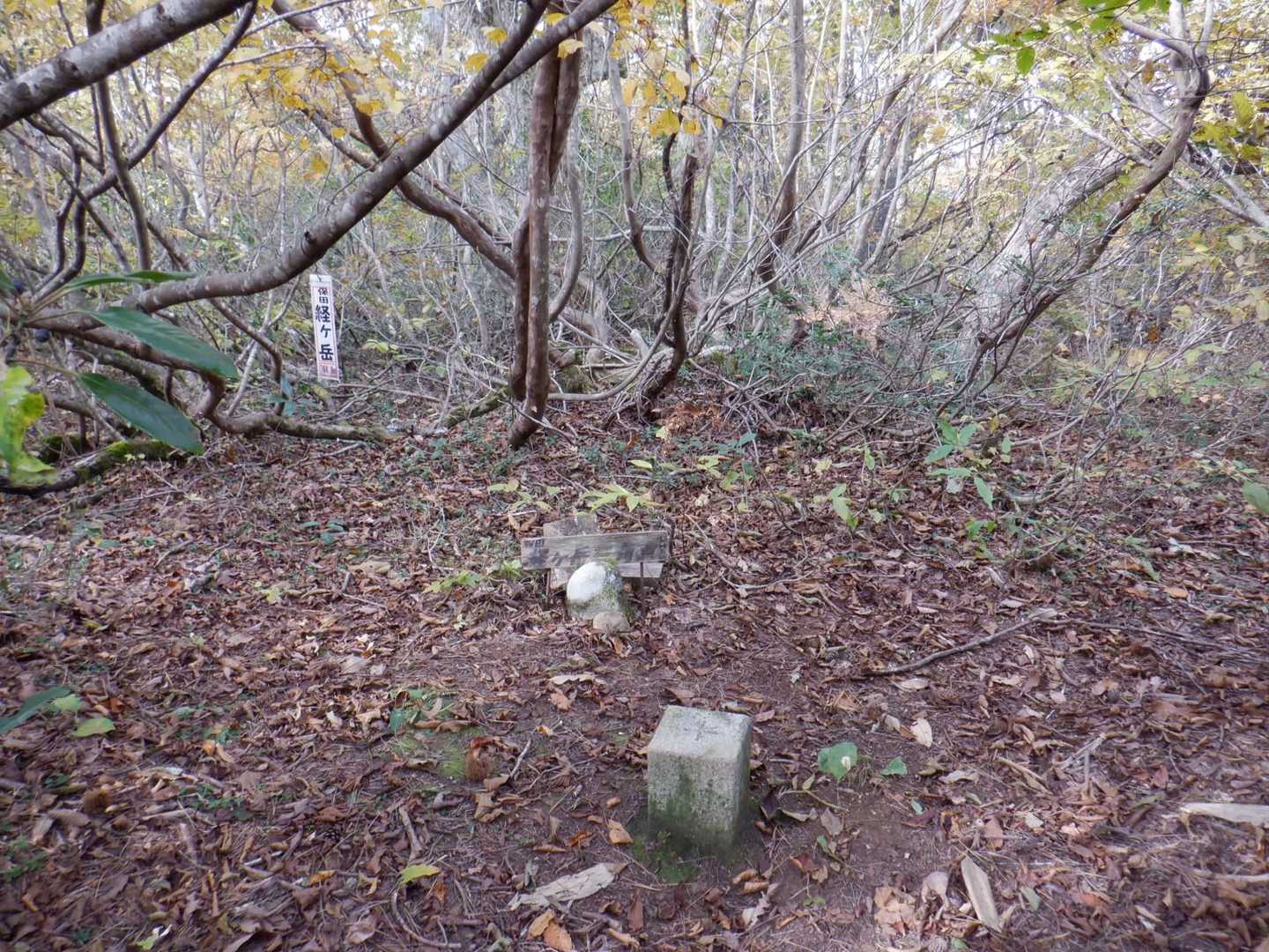 山頂は展望なし