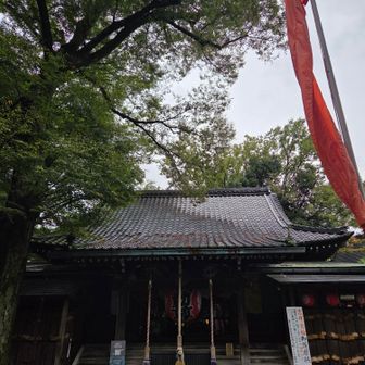 お参りしました。
等々力不動尊