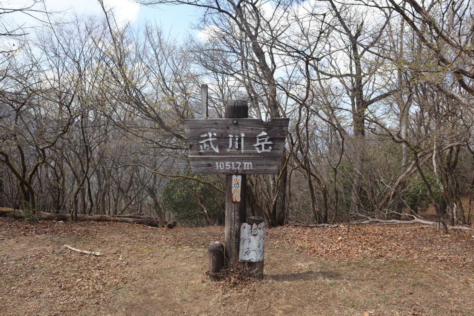 武川山