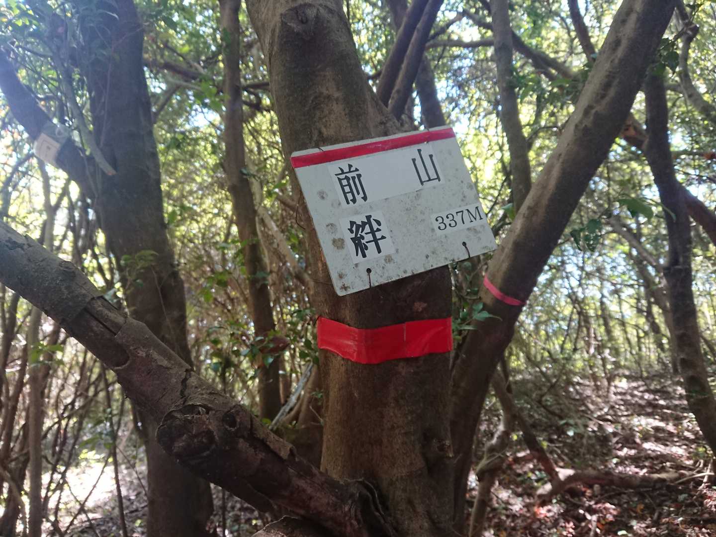 ほどなく前山山頂到着😃
