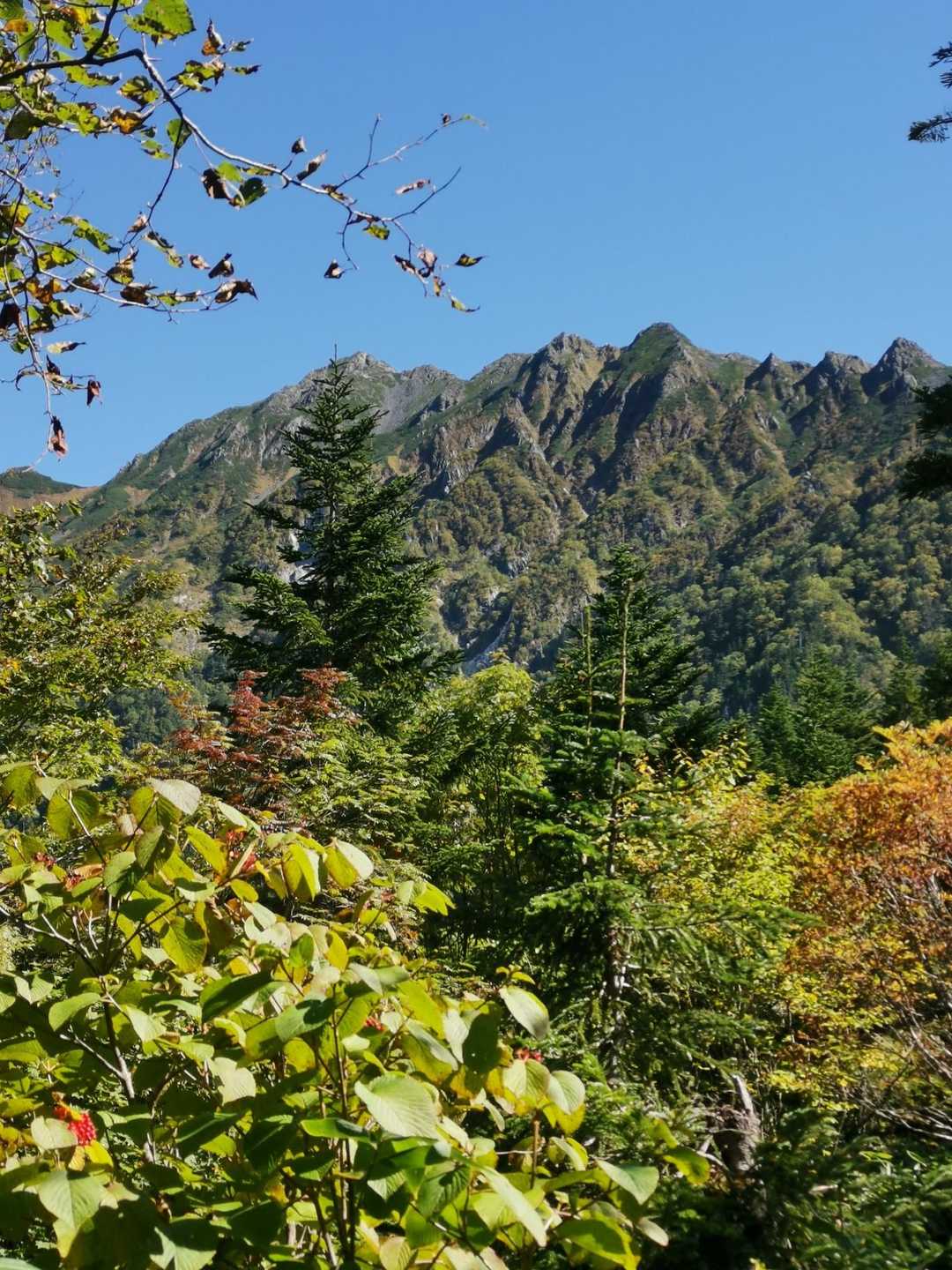バリゴヤみたいな山が連なってる