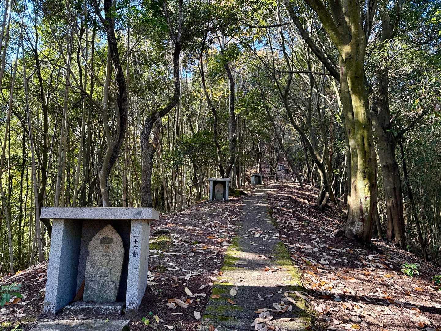 福山古墳ロードの服部Cコースを🚶🏻。