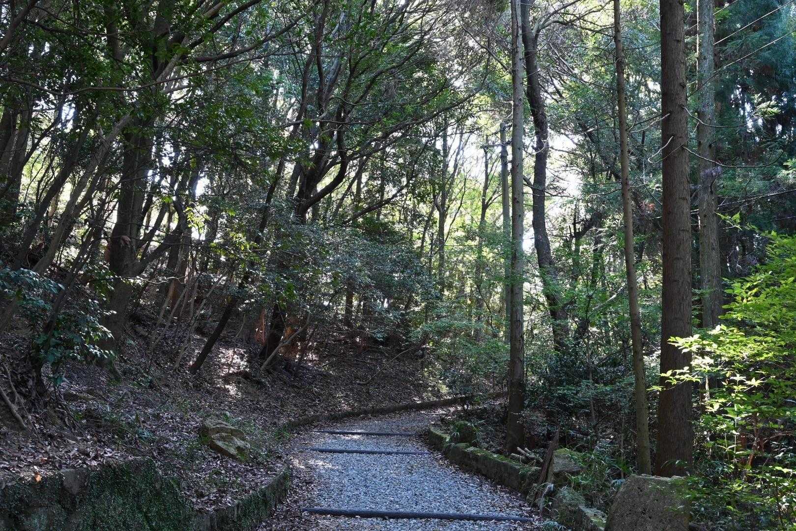 再度山に向かいます