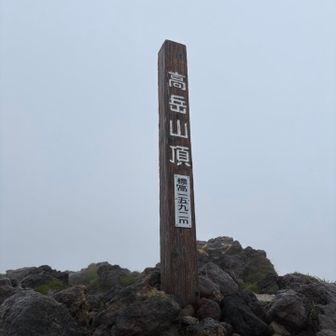 着いたー