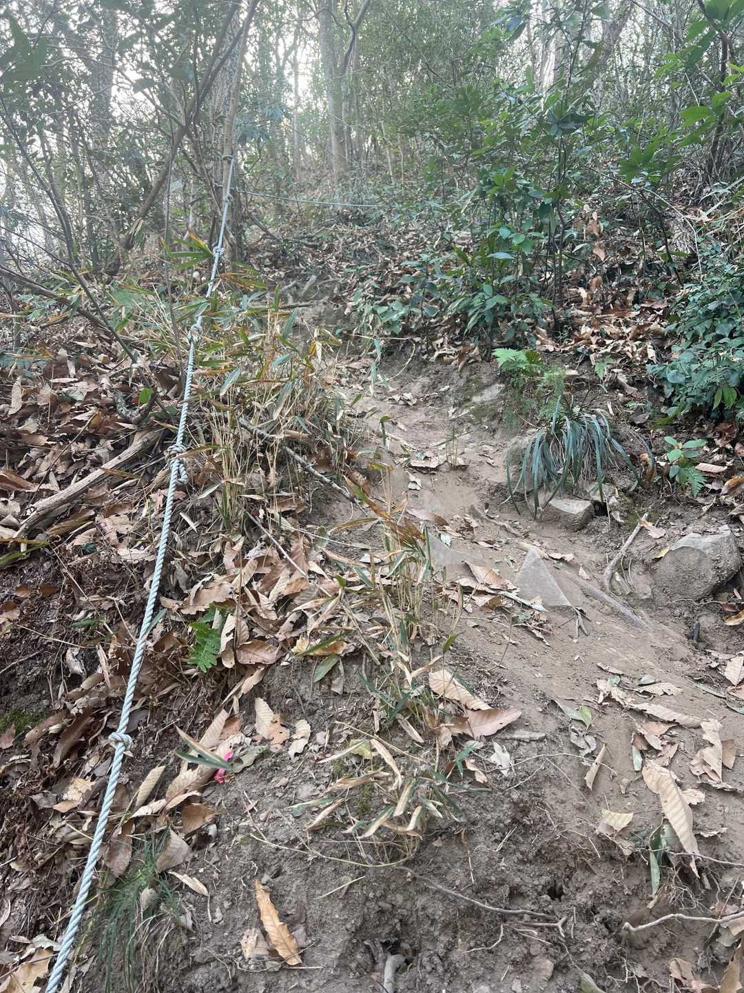下山道はかなり急なので
ロープを確認しながら下りる😅