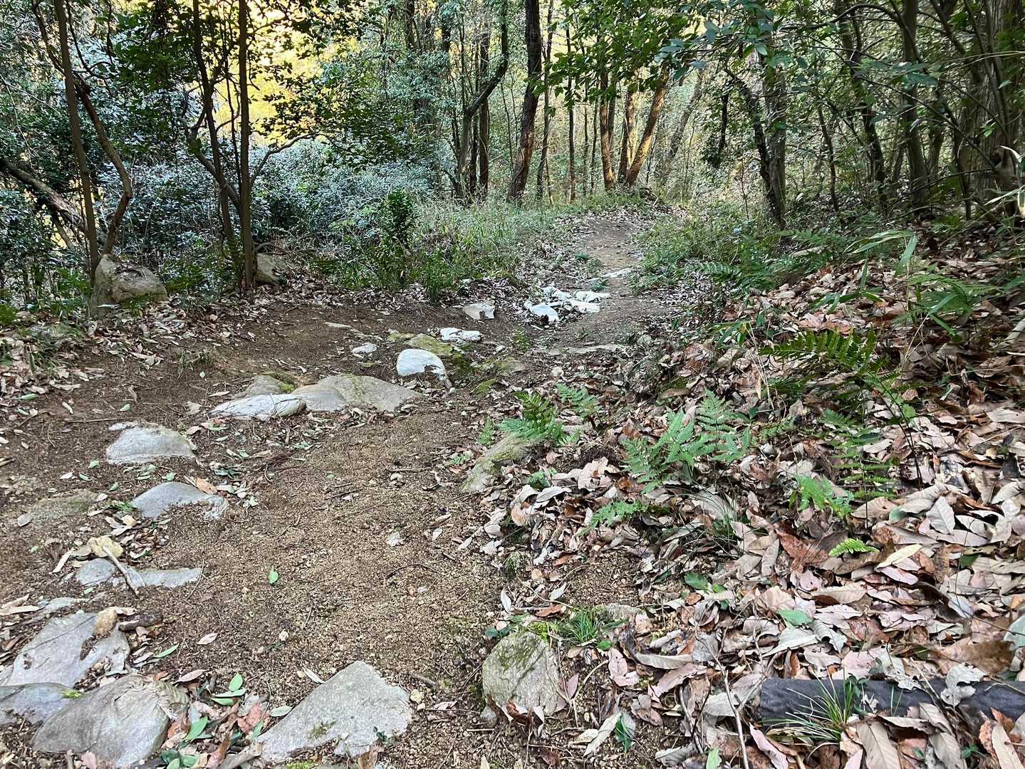 伽藍山-江良峠-鷺の尾-西方院 周回コースの写真