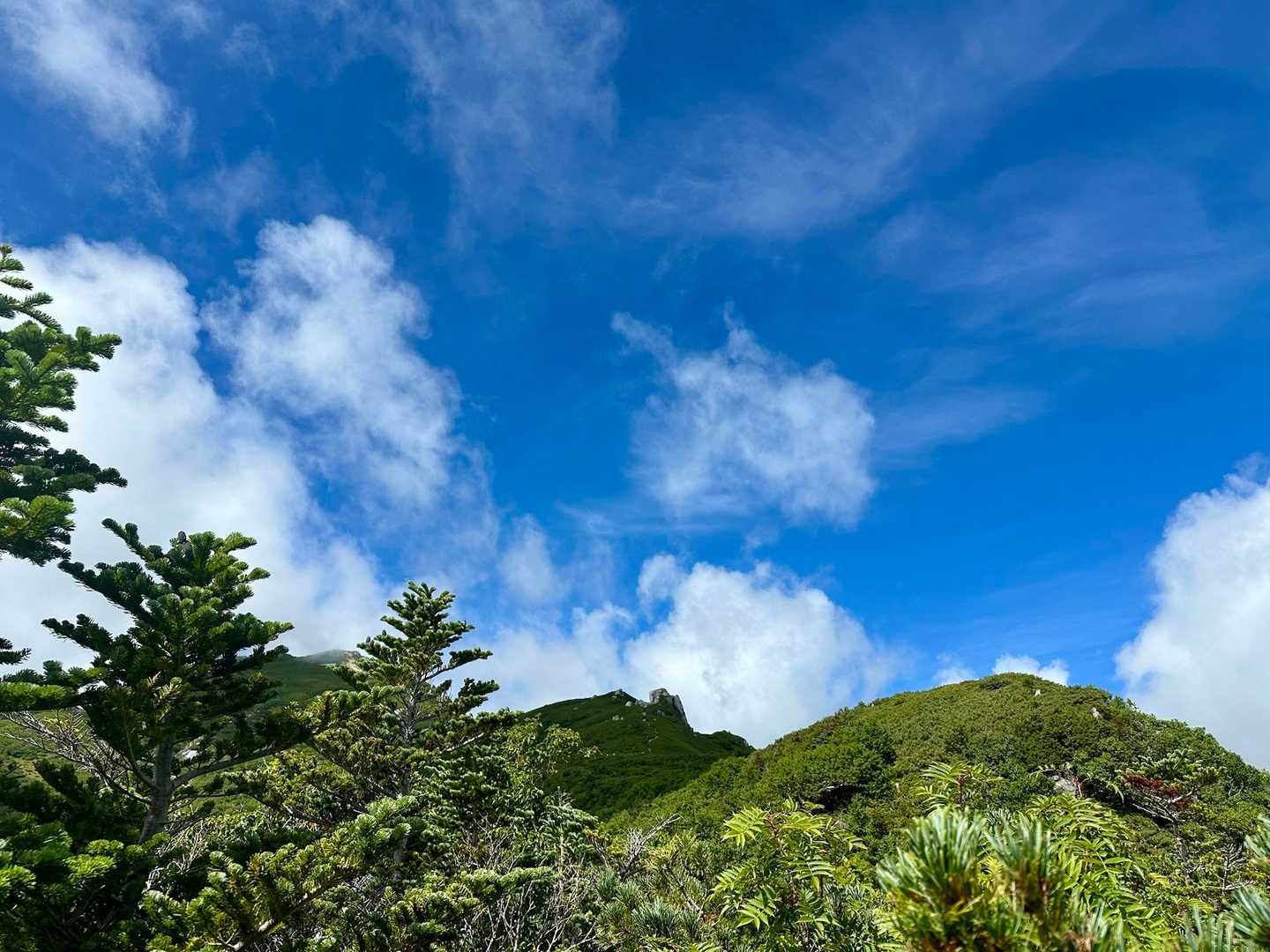 樹林帯を抜けて
青空が見られるって
最高じゃ〜〜〜🤩