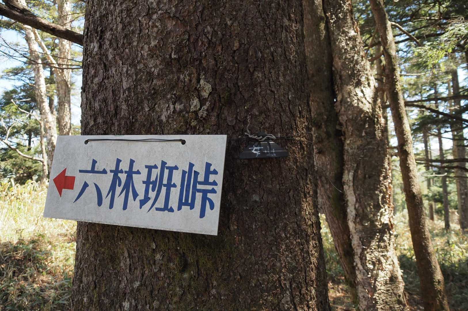 六林班峠　（ろくりんぱんとうげ）女山