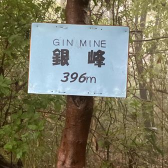 よくある周りは何もないマイナー山。