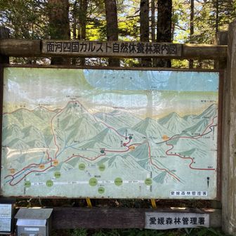 山頂の手前まではなだらかで、鳥居から先に階段があります