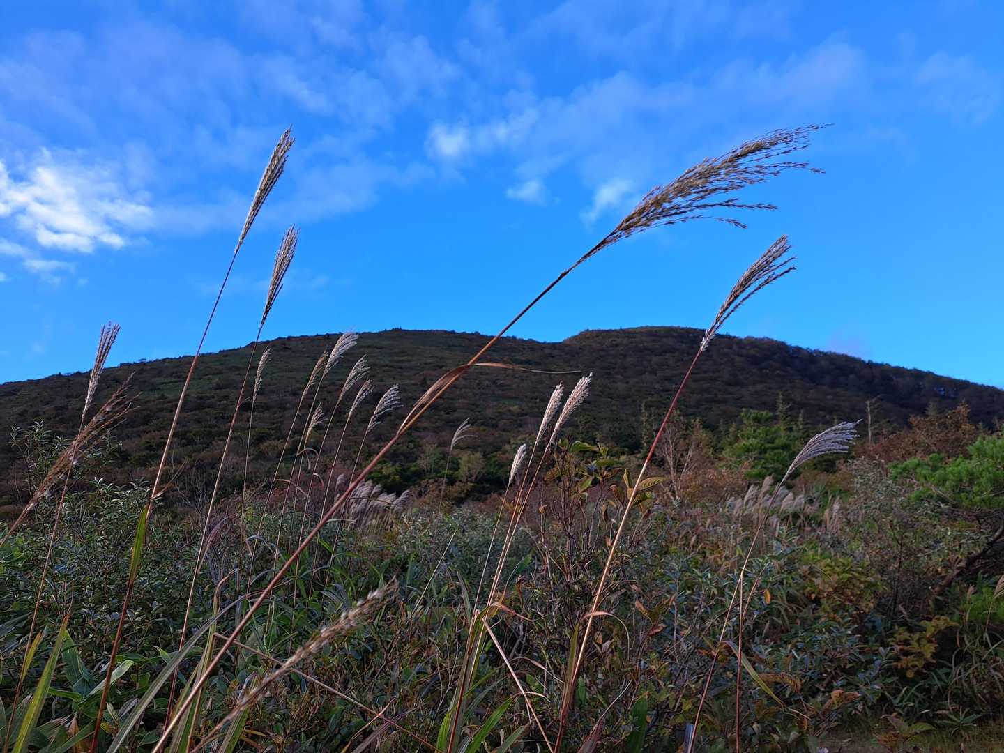 下山して青空🔵

高い山にも行きたいですか、身近な秋や北東北の山を満喫🤗