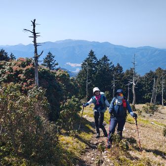 本日一の眺望です
霞んでいますが…
この直ぐ近くが裏山のピークだけど道標見つけられなかった💦