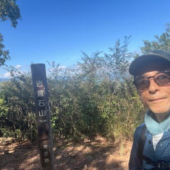 2時間で岩茸石山、木々の隙間から遠くの山がなんとか見えた