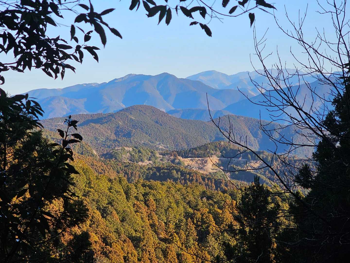 貫ヶ岳（中沢登山口）の写真