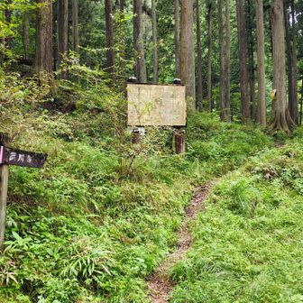アス道にて時計回りの歩き取り付き