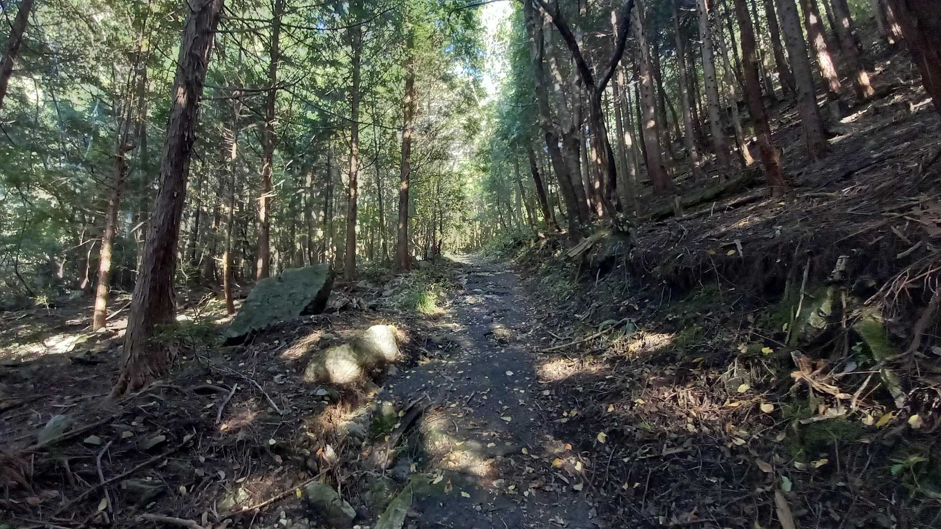 龍頭山バス停-龍頭山-掛札バス停 縦走コースの写真