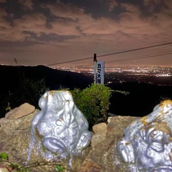 無事に下山🥳

お疲れさまでした🙇🏻
おやすみなさーい🐸💤