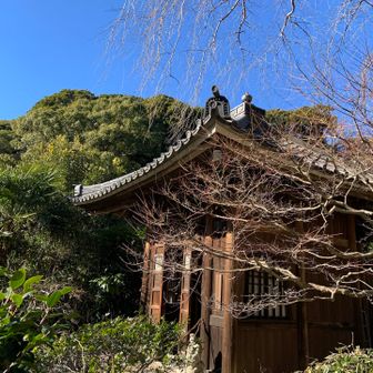 七福神が祀られてました