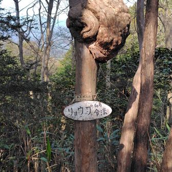 なんでしょうこれ？