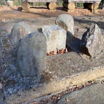 狭山丘陵最高峰のお伊勢山に立つ一等三角点「高根」