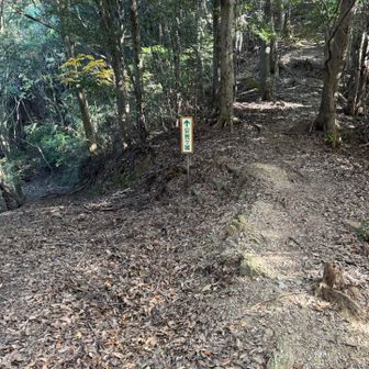 どちらも安見ヶ城山山頂に行くが
直登コース(右)を登ります。