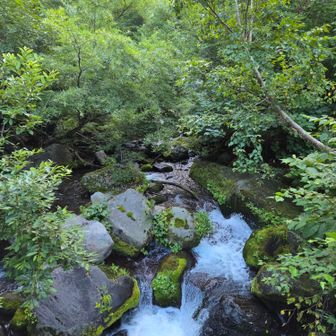 昨日の雨のせいか水量は充分