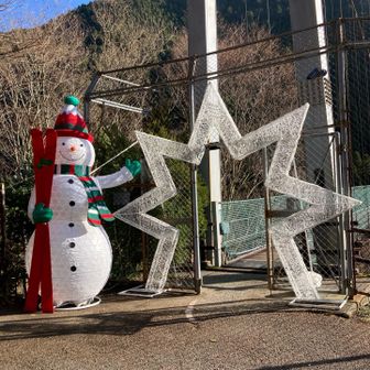 橋がクリスマス仕様に
