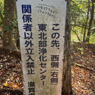 めっちゃ道付いてるけど✖️ですってよ。