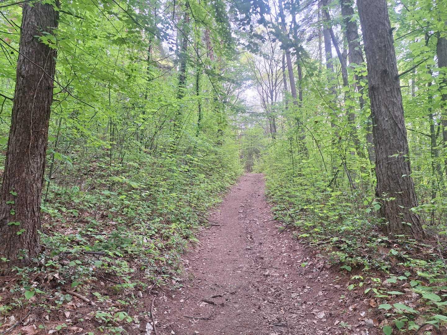 みどりって、癒し～🌳