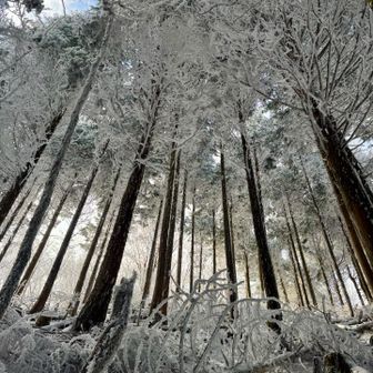 上も下も真っ白です。