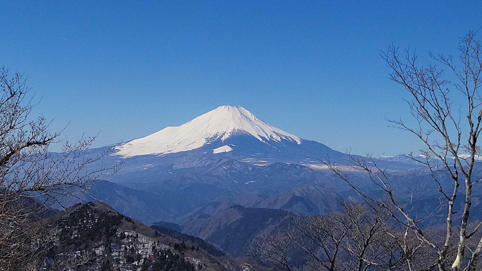 富士山アップ。
今年はずっと晴天の富士山に恵まれてます😊