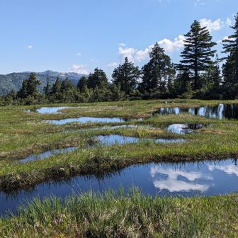 池塘が鏡のよう✨

奥は明日登る会津駒ヶ岳かな