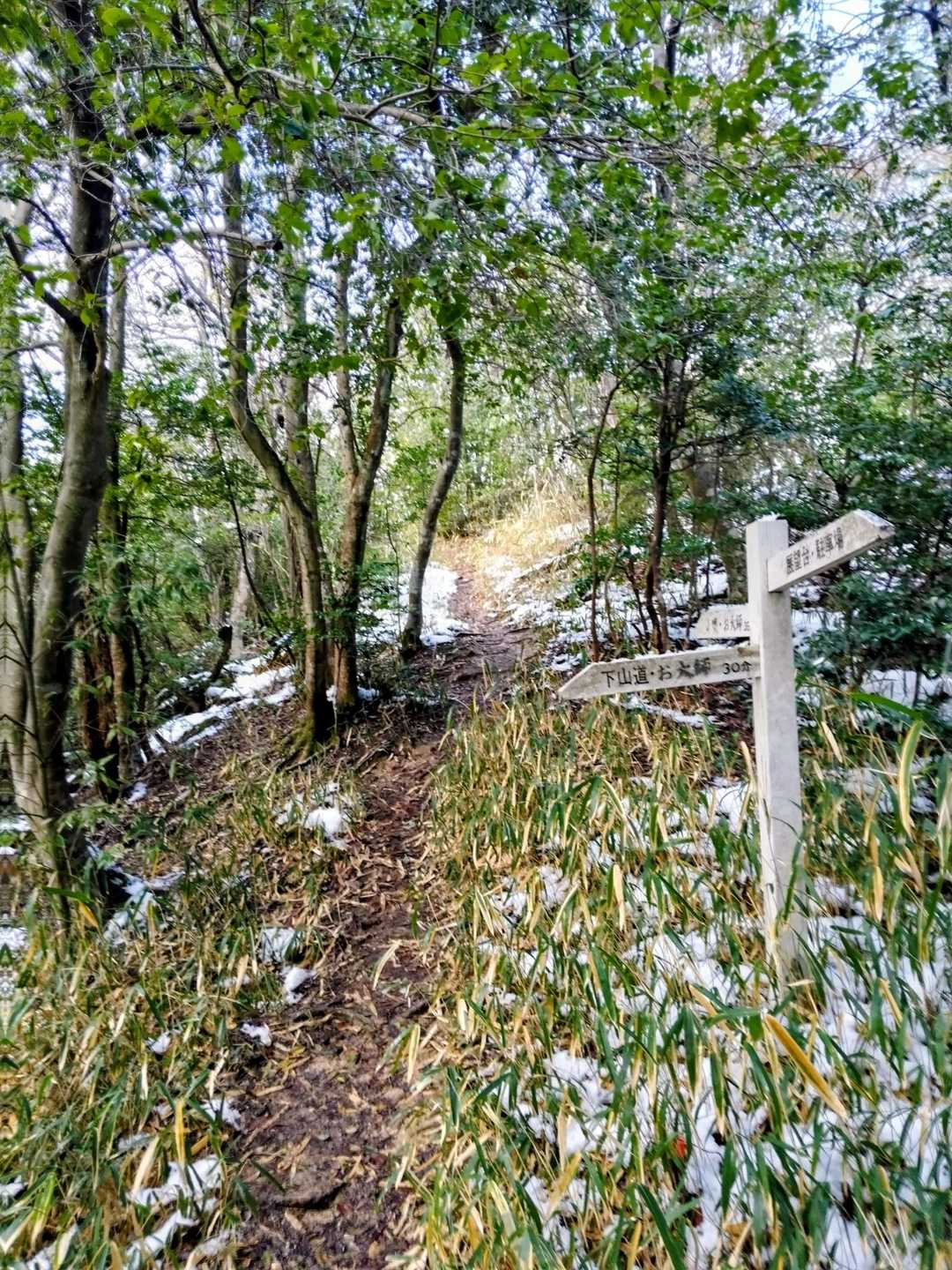 母塚山山頂に向かって👊😭✨滑りながら進行⁉️