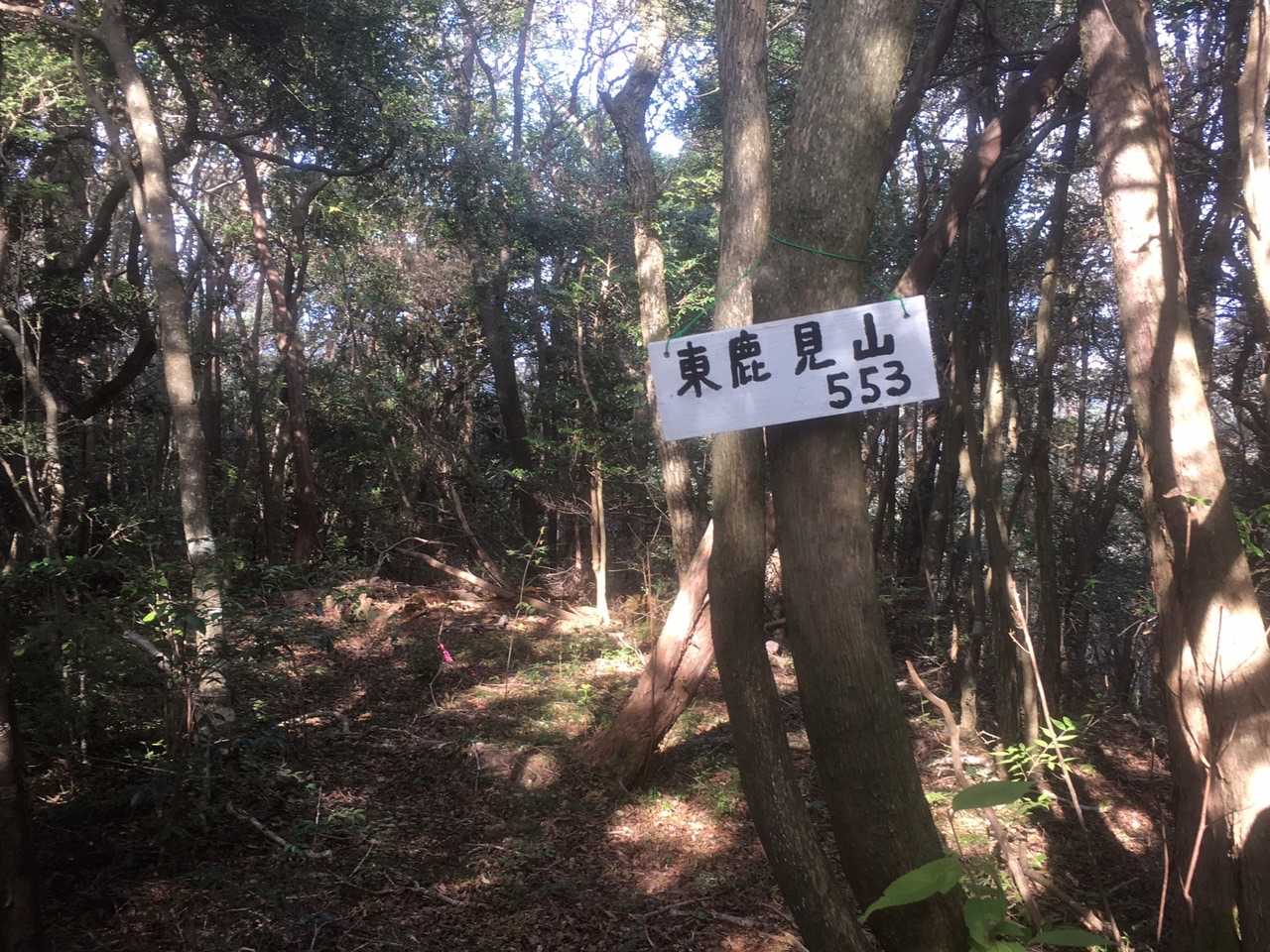 東鹿見山🚩の手前の急坂を戻りたくなかったので強引に通り抜けたら、見事にルートをロストしました⚠️
GPSのおかげで助かりました😅