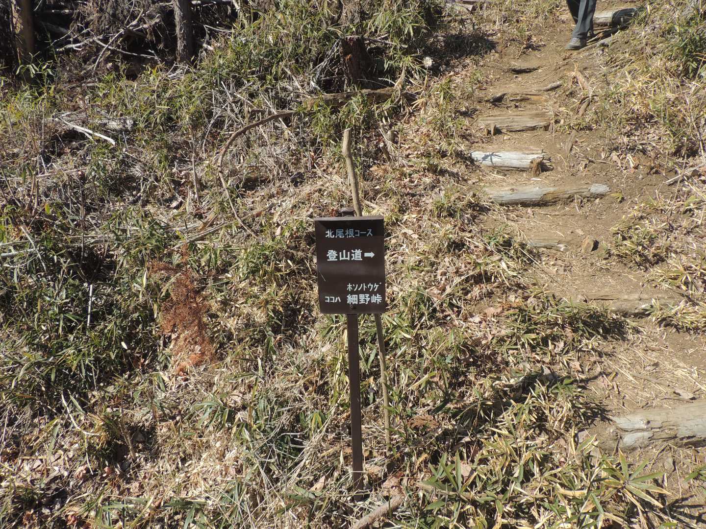 細野峠
ここら駐車場所までは林道歩きになります。
立入禁止地区になっていますが、立入禁止の表示はありません。