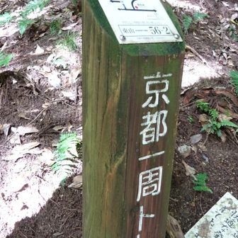 No.56-2
←大山祇神社　↑茶山・瓜生山を経て比叡山　　→谷道から比叡山