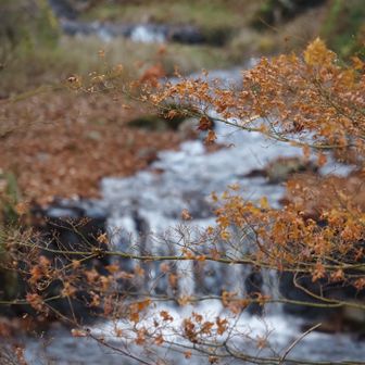 牛伏川フランス式階段の紅葉はすでに終わっていましたが山頂の絶景と静かで楽しい山歩きに感謝です😊　あとは車道歩きです🚶‍♀️