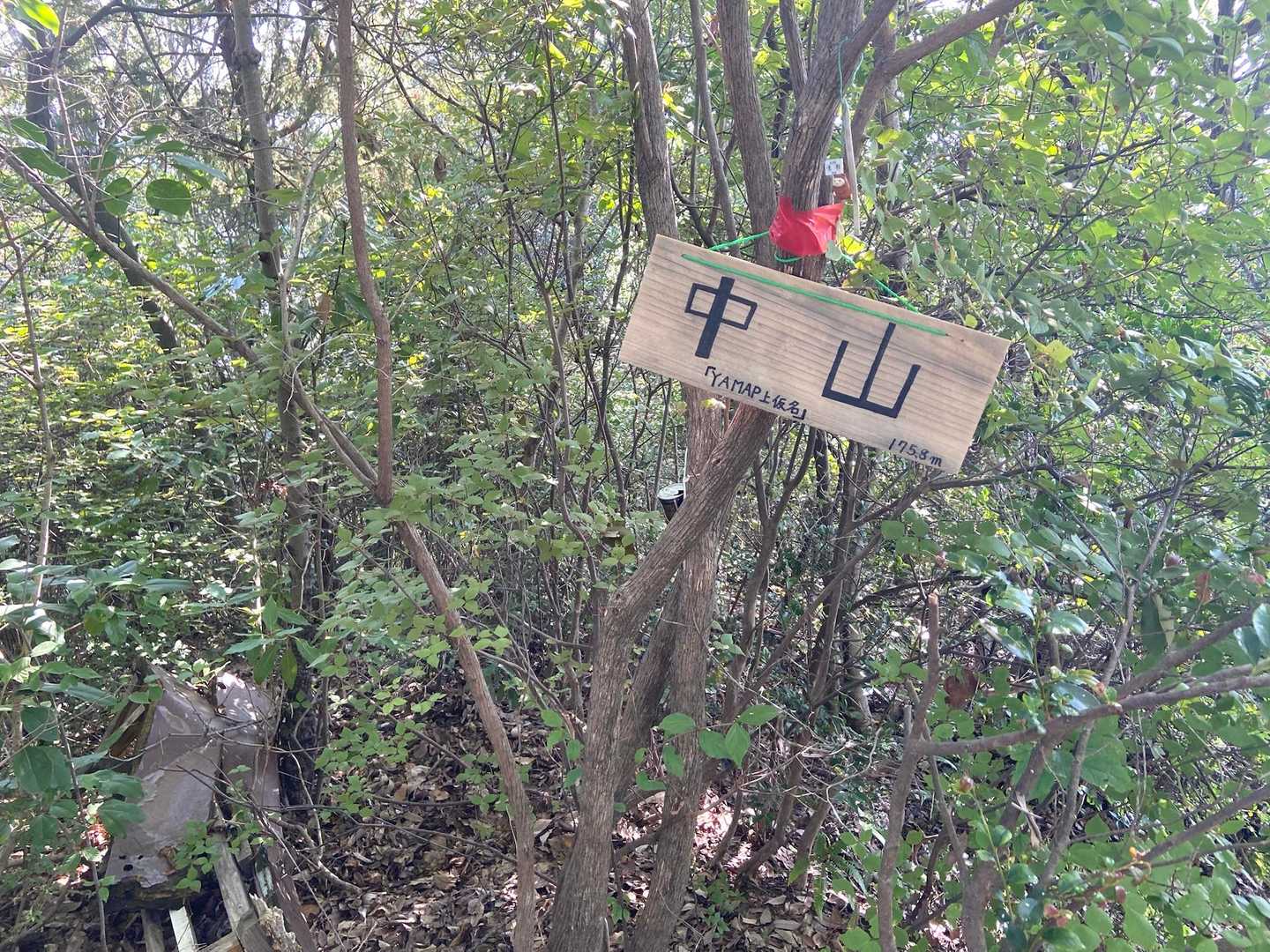 尾長山-牛田山 往復コースの写真