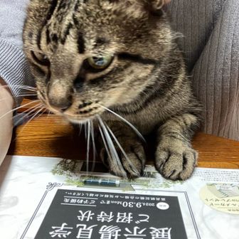 はるきっつぁん