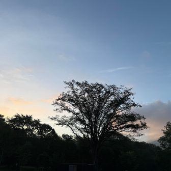 夜明けが気になる