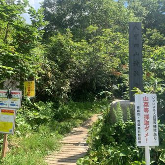 行ってきます〜
スタートも遅くなったのですでに暑い💦