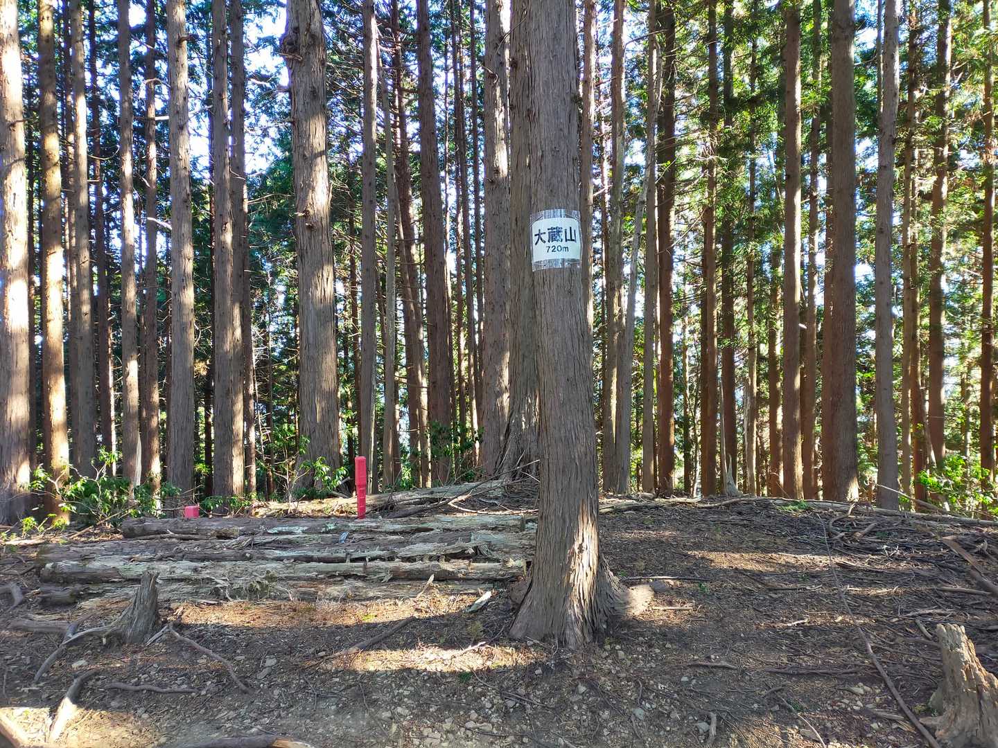 行きは通り過ぎてしまった大倉山
