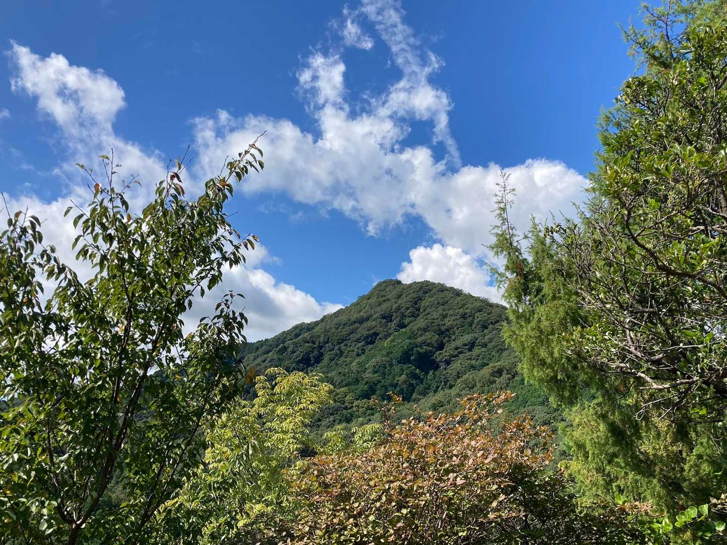 武田山満喫しました⛰️