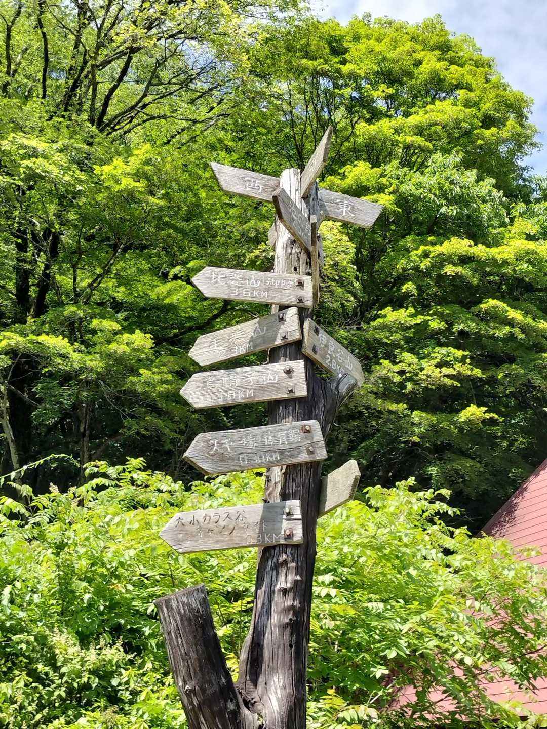 ひろしま県民の森到着〜

次はどこに行く😁