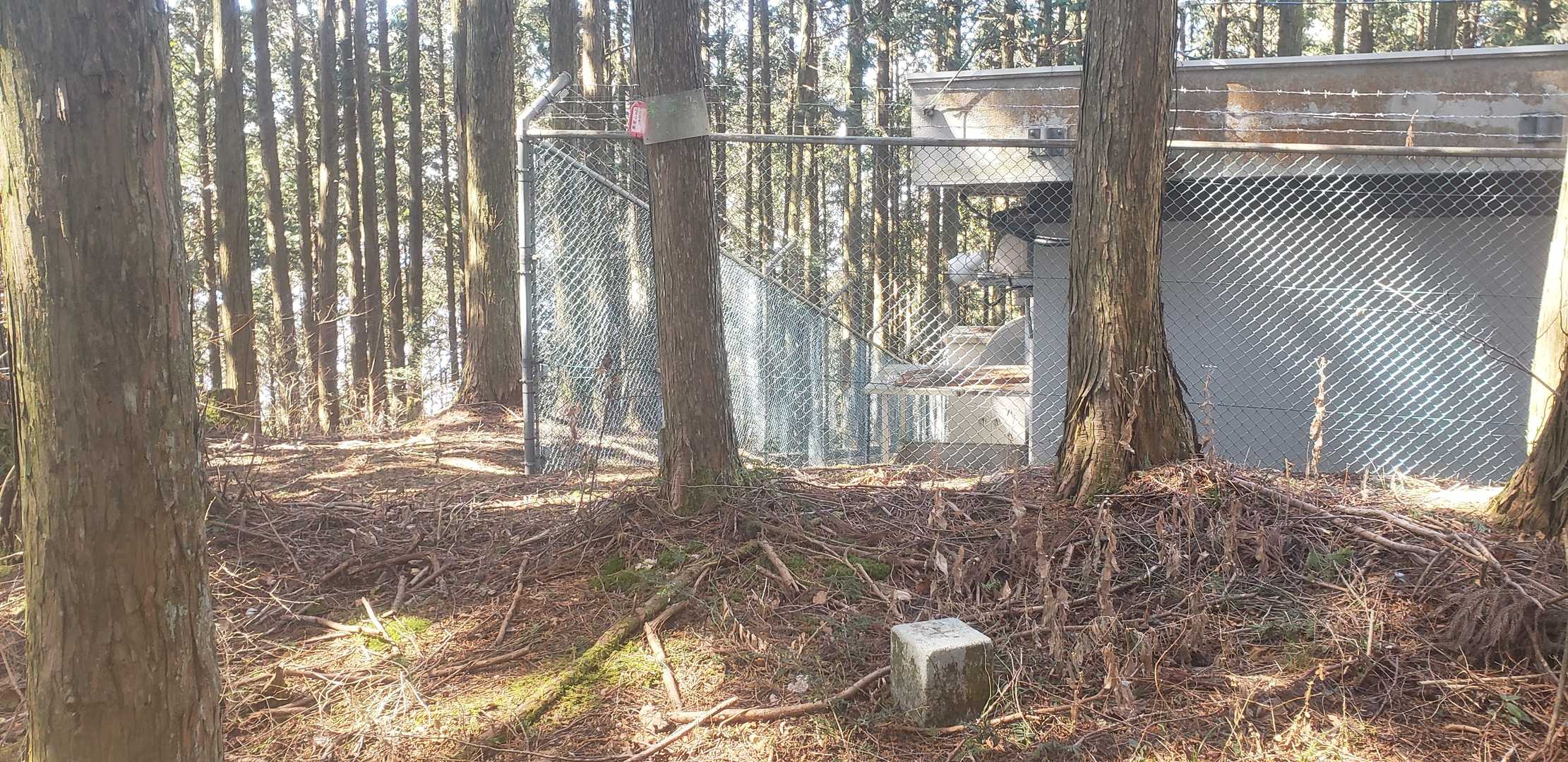 秦皇山の写真