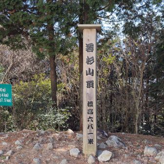 若杉山山頂。今年の最初のピーク。